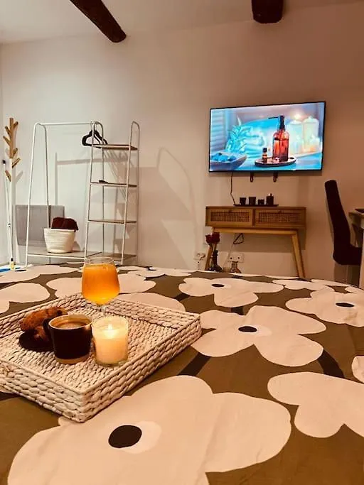 Studio Oasis De Paix Centre Aix En Provence Aix-en-Provence Apartment